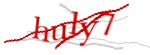Enter the character string shown in the picture